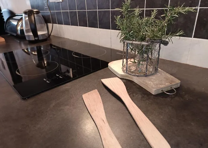 Prázdninový dům Maison De 65 M², 450m Plage, 6 Pers., Animaux Admis, Parking - Fr-1-540-331 *